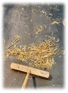 2025-12_Leitartikel (c) Sylvio Krüger In: Pfarrbriefservice.de