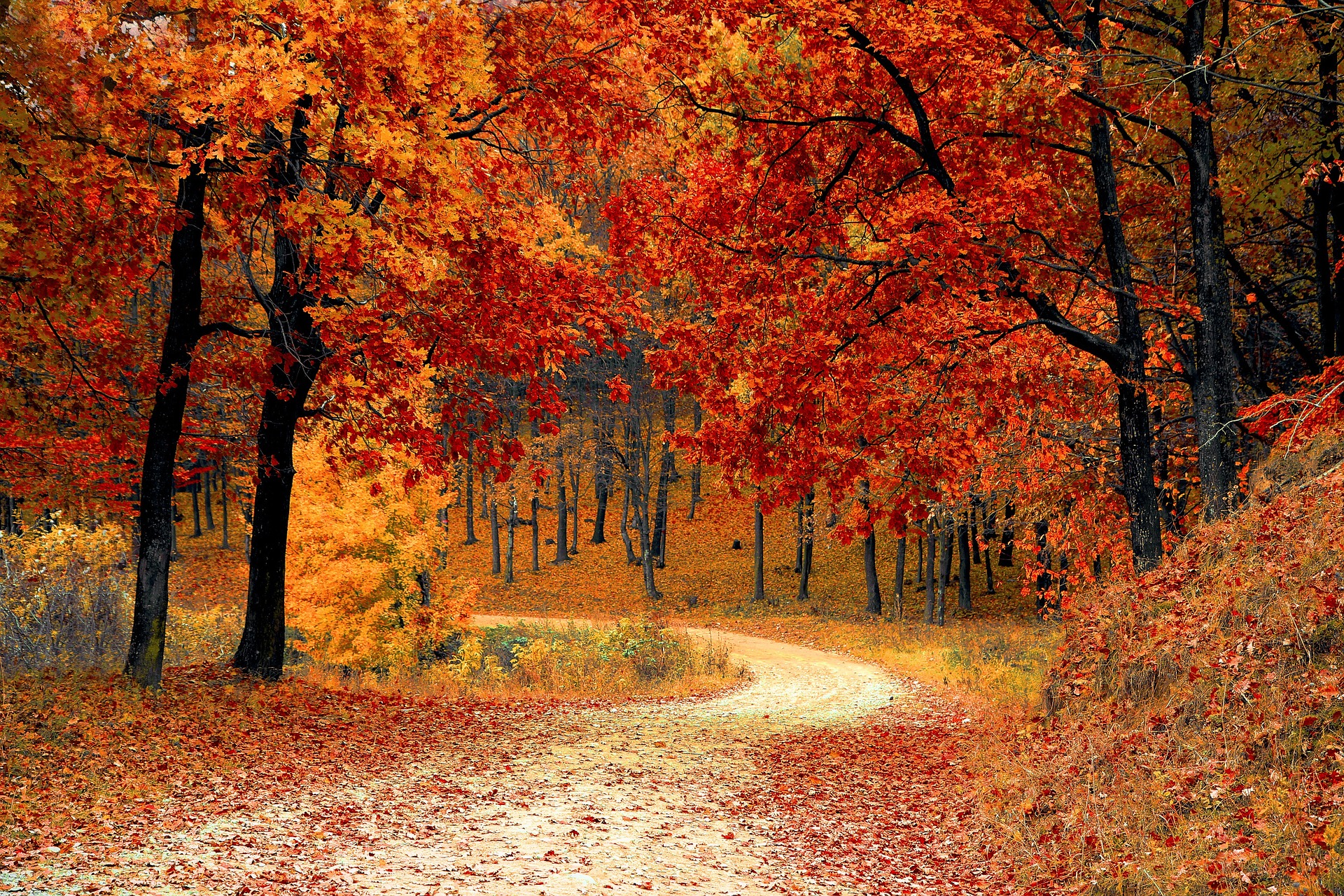 Herbst (c) www.pixabay.com