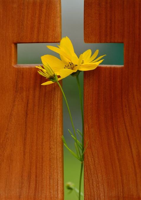 Kreuz mit Blume (c) congerdesign; pixabay.de